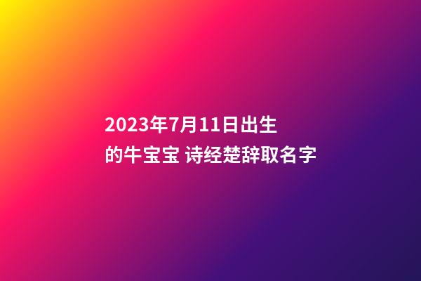 2023年7月11日出生的牛宝宝 诗经楚辞取名字